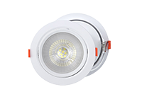 Spot-Light.png