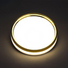 Gekleurde ring zijlamp Opbouwpaneellamp